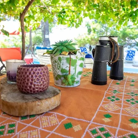 House Ivana * Milna (Brac)
